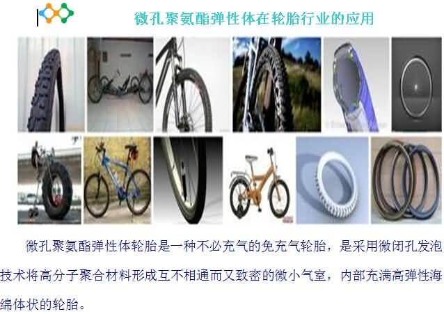 香港最真正最准资料六